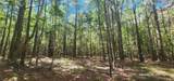 TBD County Road 405 - Photo 2