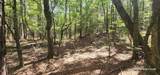 TBD County Road 405 - Photo 20