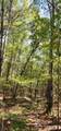 TBD County Road 405 - Photo 21