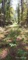 TBD County Road 405 - Photo 22