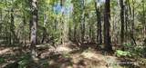 TBD County Road 405 - Photo 23