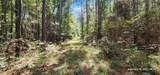 TBD County Road 405 - Photo 25