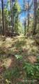 TBD County Road 405 - Photo 26