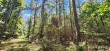 TBD County Road 405 - Photo 27