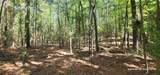 TBD County Road 405 - Photo 28