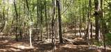 TBD County Road 405 - Photo 29