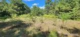 TBD County Road 405 - Photo 30