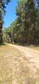 TBD County Road 405 - Photo 35