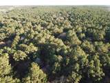 TBD County Road 405 - Photo 4