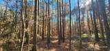 TBD County Road 405 - Photo 41