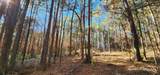 TBD County Road 405 - Photo 42