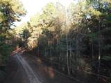 TBD County Road 405 - Photo 45