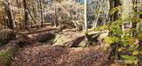 TBD County Road 405 - Photo 46