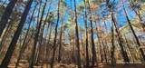 TBD County Road 405 - Photo 47