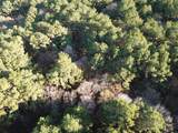 TBD County Road 405 - Photo 48