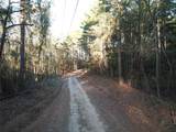 TBD County Road 405 - Photo 49