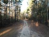 TBD County Road 405 - Photo 7