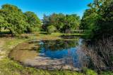 4519 County Road 120 - Photo 13