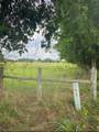 00 Terrace Road - Photo 5