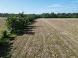 50.74 +/- Acres County Road 202 - Photo 27