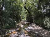 50.74 +/- Acres County Road 202 - Photo 8