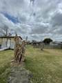 2202 Jones Road - Photo 8