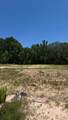 12076 Moonlight Path Drive - Photo 4