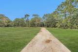 3 Acres Womack Cemetery Road - Photo 8