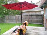 335 Anchor Way - Photo 17