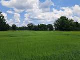 101 Cattle Drive Trail - Photo 5