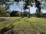 4407 Hiram Brandon Drive - Photo 3