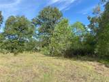 TBD Sour Lake Cir - Photo 3