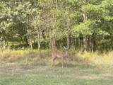 TBD Sour Lake Cir - Photo 8