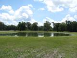 TBD Sour Lake Cir - Photo 9