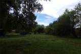 1008 Brooks Avenue - Photo 10