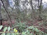 0 Elkfield Lane - Photo 3