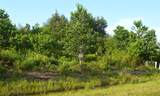 597 Road 5516 - Photo 5