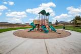 40434 Basalt Elm Road - Photo 49
