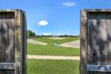 28139 Canyon Wren Drive - Photo 49