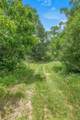10250 Dogwood Trail - Photo 46