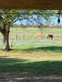 5848 Mieth Road - Photo 26
