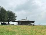5848 Mieth Road - Photo 7