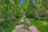 250 County Road 498 - Photo 11