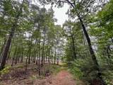 4.5 Arledge Trail/Off Gateway Meadows - Photo 11