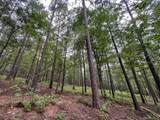 4.5 Arledge Trail/Off Gateway Meadows - Photo 13