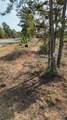 121 Richardson Road - Photo 7