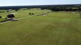 44416 Whit Loggins Road - Photo 5