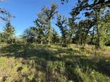 Lot 37 Cr 0389 - Photo 6