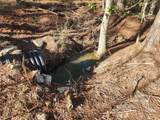 265 Sweet Gum Drive - Photo 6