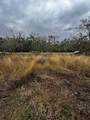 244 Rabbit Trail - Photo 8
